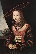 CRANACH, Lucas the Elder Portrait of a Woman dfg oil on canvas